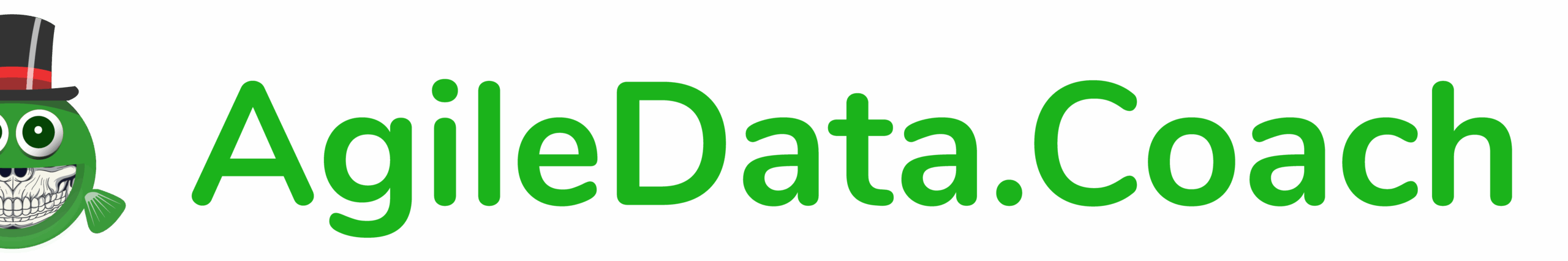 Agile Data Coach